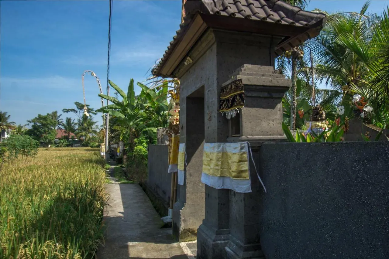 Anugrah House Hotel Ubud  Indonesia